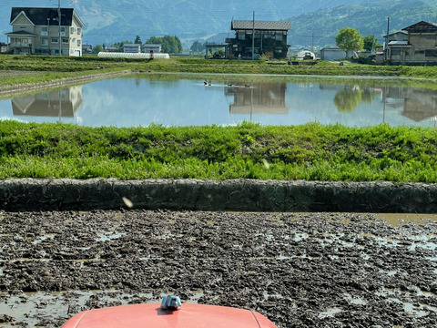 塩沢産コシヒカリ　精米3キロ 南魚沼産コシヒカリ