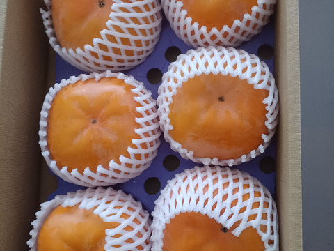 【12月上旬発送】幻の柿 次郎柿！木成り完熟の逸品６個入り（1.5ｋｇ）