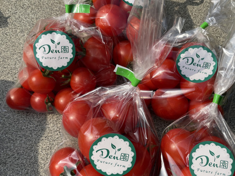 トマト　フルティカ