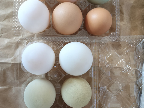 色々な卵３0個と美味しい野草3種のセット　合鴨アヒルの卵野菜セット