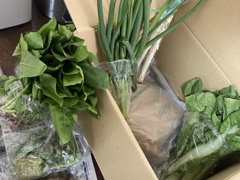 【令和７年度産新米】農薬７０％軽減米(5kg)＋野菜セット