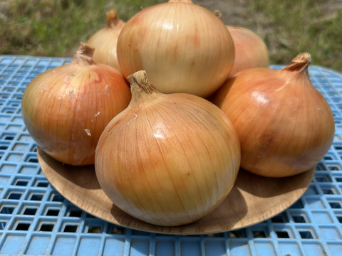 【淡路島産】淡路島玉ねぎ5kg M〜LLサイズ混合