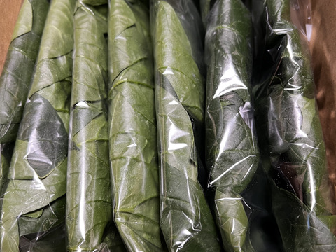 魂のほうれん草 7袋（1kg）