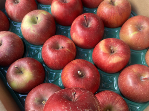 小傷 小玉 サンふじ 5キロ箱 20～25玉　長野県産