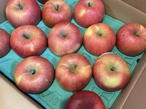 ★★新春セール★★🍎5キロ🍎葉とらずふじ【家庭用】１３玉～２３玉 青森りんご リンゴ 商品ID165766