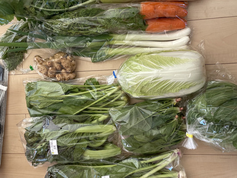 ふたばたけ　畑から直送！　農薬不使用！　旬のこだわり野菜セット　７～１０種類
