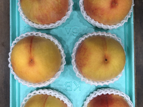 桃黄金桃6玉　A級