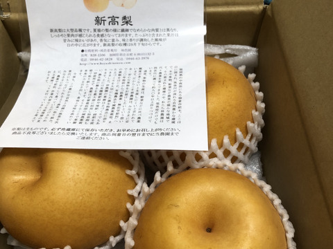 食べ応えの大玉品種！新高梨　家庭用　 約2.5kg(4～5玉)
