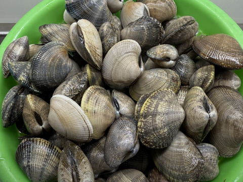 旬の貝類バーベキューセット