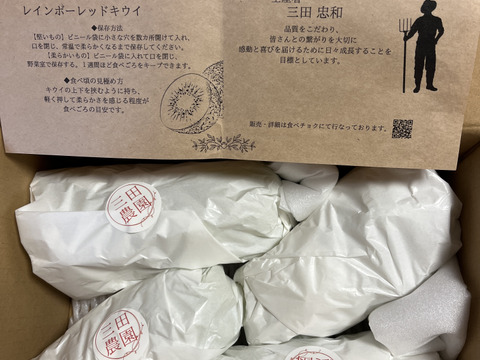 【期間限定セール】本当に美味しい！家庭用シャインマスカット🍇2kg(３房～4房)