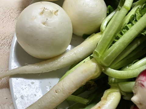 60サイズの野菜セット