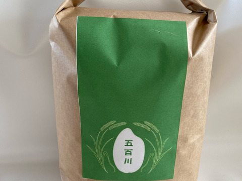 令和7年産　福島県産　五百川