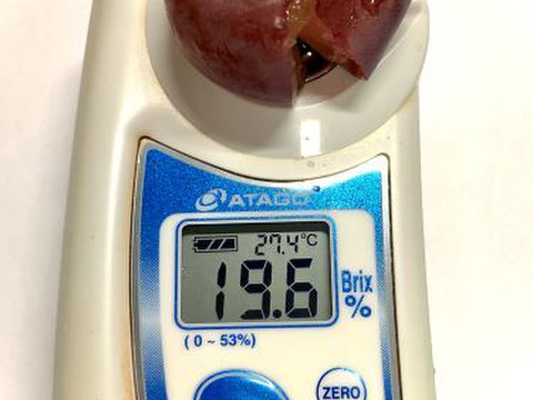 【今が旬！】岡山県産　ピオーネ　粒パック　700ｇ×4p 2.8㎏以上