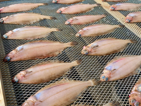 金目鯛と笹カレイ高級干物セット