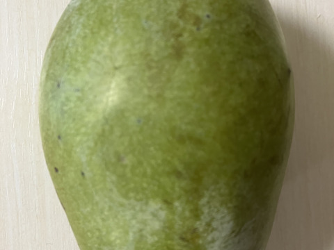 ⚠️追記あり要確認【常温便】森のカスタード！ポポー！1kg【３個から5個入】