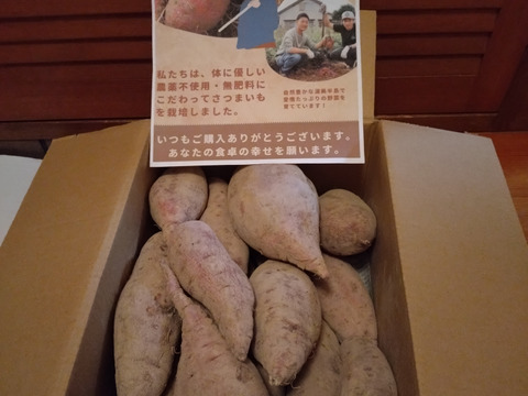 【食べチョク価格】強い甘みとねっとり感！さつまいも『紅はるか』５キロ　★農薬不使用＆無肥料栽培★　愛知県「渥美半島」産