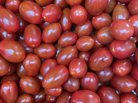 『フラガール』栃木県産　約1.9kg（大きさ不揃い）