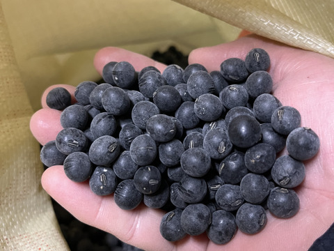 黒大豆250g＋大納言小豆　250g  丹波篠山産