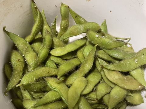 「数量限定 在庫処分セール」 自然栽培大豆3kg：静岡県産の米・穀類｜食べチョク｜産地直送 野菜