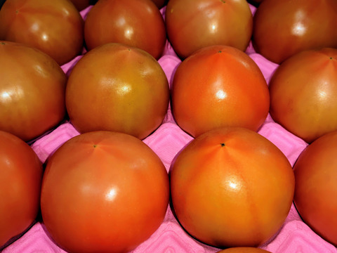 100％純トマト🍅4キロ箱【雪ちゃんトマト】桃太郎トマトL or Mサイズ