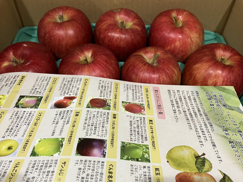サクッと甘い！シナノスイート　青森県産りんご（8個～12個）