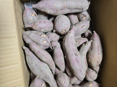 【訳あり】安納芋 5kg ※梱包込