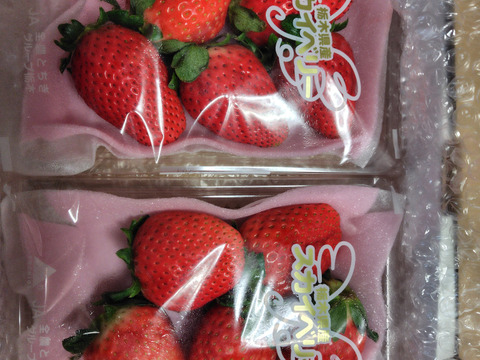 プチ豪華ないちごの食べ比べセット
スカイベリー・とちおとめ・とちあいか