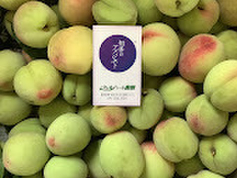 若桃　摘果桃　あかつき　10キロ 59f17c9f674357e4a3cad93953f1c6