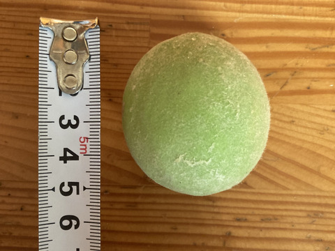 シロップ漬けに【若桃・青桃】