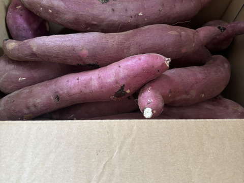 訳あり！熟成紅はるか　10kg  さつまいも