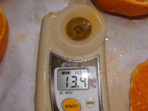 新品種☆ひぜんユース☆3.5キロ