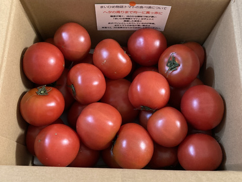 【福袋】プレミアムトマトまいひめ物語　２㎏バラ詰め　次女（糖度8.5度以上）甘い、おいしい、味が濃い！