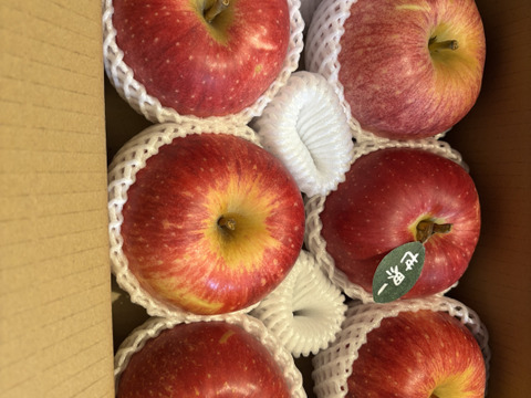 🍎希少品種🍎世界一約3キロ 6～7玉入り 青森 りんご ID168643 リンゴ