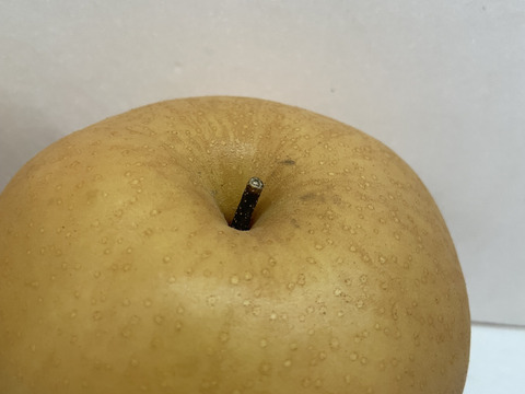 【お試し用お得箱】梨の王様「新高梨」食べ応え抜群！