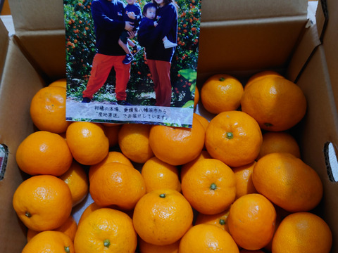 【年明け発送】【食べチョクで１番売れてるみかんです！】夕やけみかん（5㎏）（圧倒的人気のみかんです！）