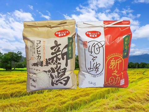 🎊食べ比べｾｯﾄ5kg×2 10kg白米🌅🌾お米ｿﾑﾘｴが作る🌾R7年新潟県五泉市四ヶ村産1等米特栽米ｺｼﾋｶﾘor新之助🍚 色彩選別済なんと😲❇️9800円❇️