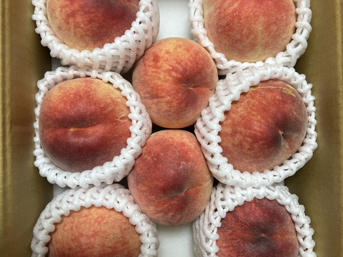 【すぐ発送！🍑山梨日川白鳳】約2キロ！中サイズ8〜9個でお届け！一度食べたら忘れられない  その時期一番おいしい品種をお届け【品種おまかせ】