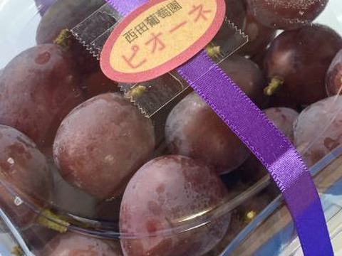 【高糖度、今が旬！】 岡山県産　シャインマスカット　粒パック　700ｇ×2p 1.4㎏ピオーネ　粒パック　700ｇ×2p 1.4㎏　計2.8㎏以上
