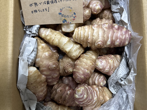 サイズいろいろ＊菊芋(赤)2kg＊掘りたてを洗ってお届け〜