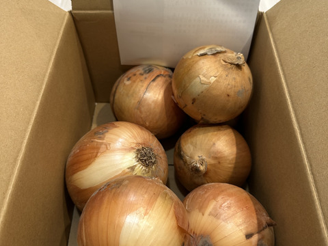 糖度９〜10度！! 甘い！！　淡路島スイートオニオン たまねぎ(2.5キロ)