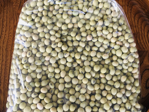 【ようやく選別！】信州産農薬不使用天日干し大豆さとういらず1kg