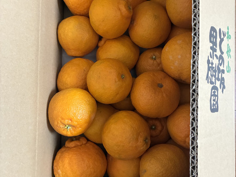 【2月中旬よりお届け】紀州のデコ「不知火」（大～中玉サイズ混合）５㎏。