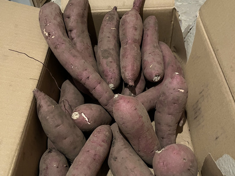 【訳あり品】⭐︎5kg⭐︎熟成！蜜たっぷり紅はるか♪さつまいも⭐︎限定セール中！