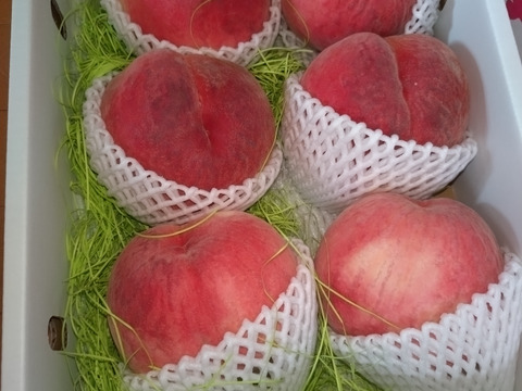 夏のギフト・7月下旬】かたい桃「おどろき」約3kg・9～12玉1箱山梨県