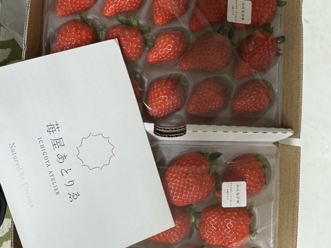 甘くて酸味が少ない！かんなひめ2P　お得なご家庭用！　230g×2p