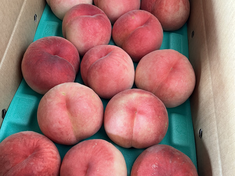 桃「玉うさぎ」家庭用5kg（10〜18玉）