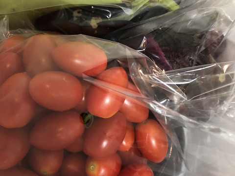 農薬不使用 赤紫蘇1キロ＋季節の採れたて夏野菜詰め合わせセットでお届けいたします。