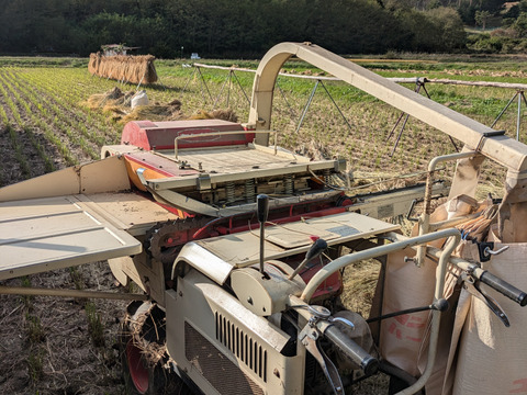 農園3月7日発送搗き立て玄米生餅　プチプチ杵つき玄米餅　２キロ（1キロ×２袋）