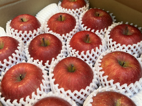 【販売中！】青森県産りんご「サンふじ」贈答用 フルーツキャップ詰め 約10kg(5kg×2箱) 【光センサー選果済】