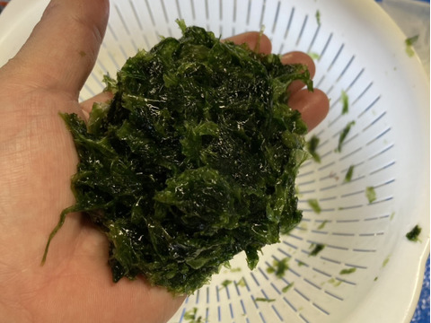 手軽に料理に使える！！
乾燥あおさ 五島列島産
 20㌘×3袋セット